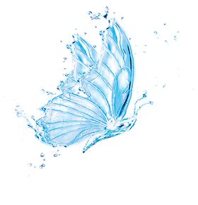 水花