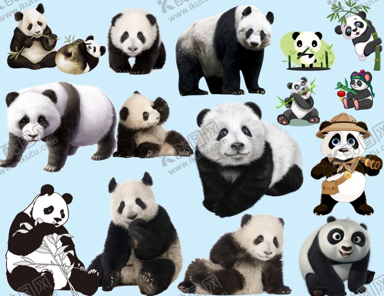编号：12724309240607222874【酷图网】源文件下载-熊猫