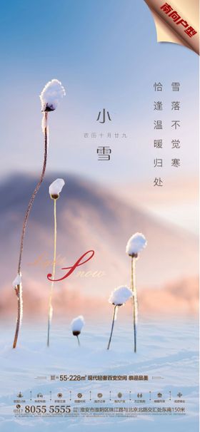 小雪节气海报