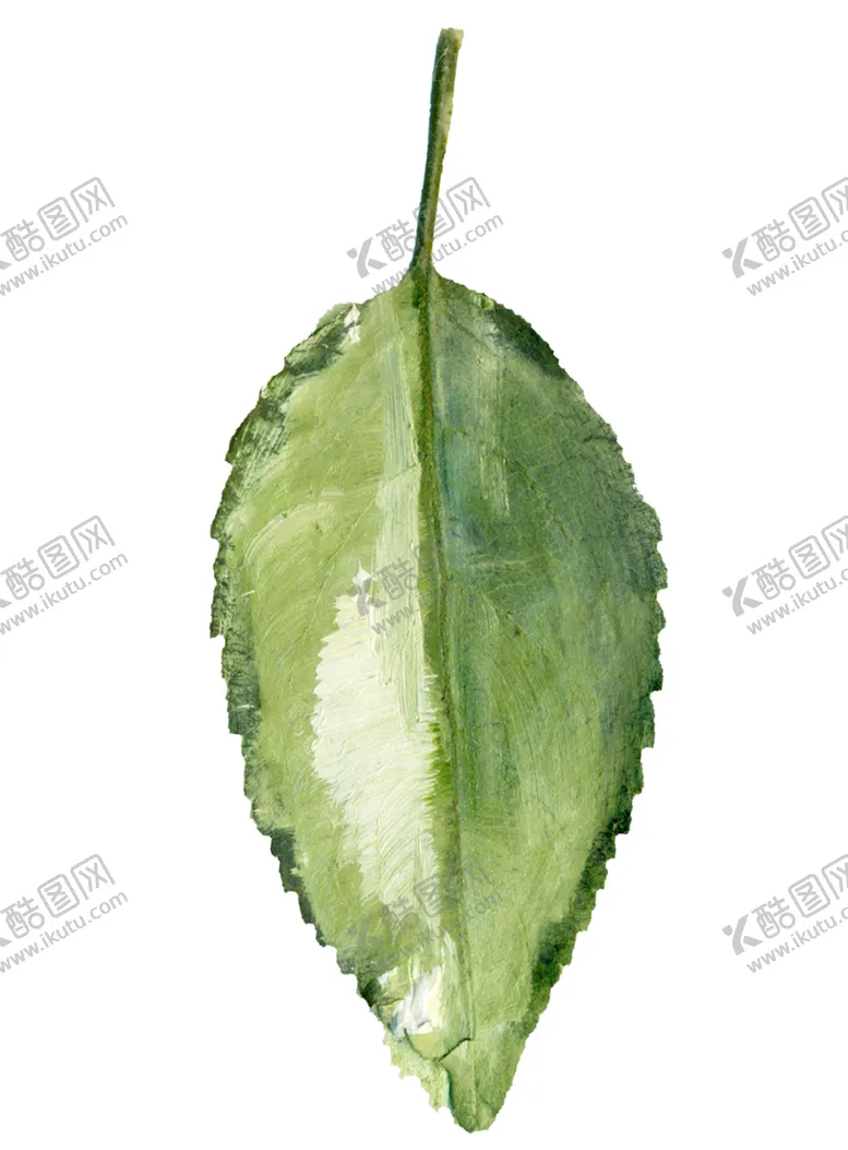 编号：51242702072203516561【酷图网】源文件下载-水彩树叶