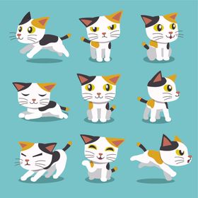 可爱小猫