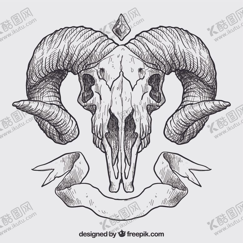 编号：79718309271217169520【酷图网】源文件下载-手绘动物头骨