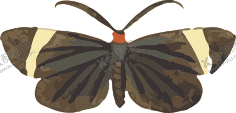 编号：12653709220907338061【酷图网】源文件下载-蝴蝶昆虫插画