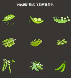 豌豆素材