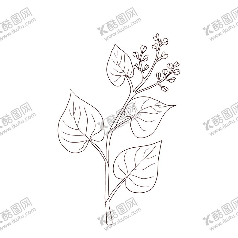 编号：98625010051336379813【酷图网】源文件下载-虎杖