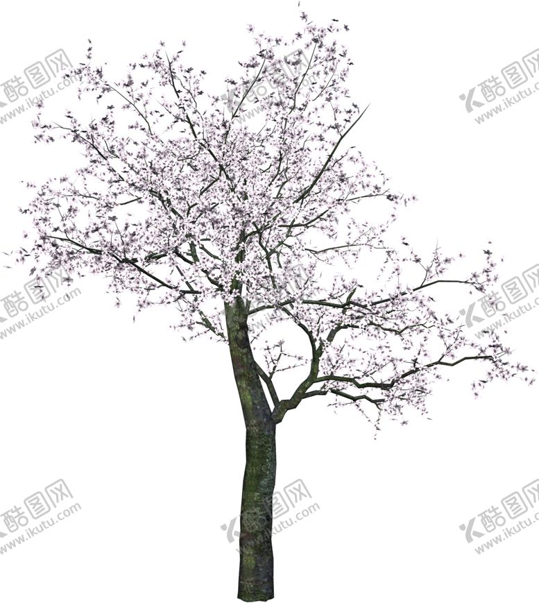 编号：25386001131803157814【酷图网】源文件下载-树木 png 树枝 叶子 素材