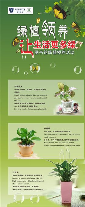 花卉海报活动背景展架海报