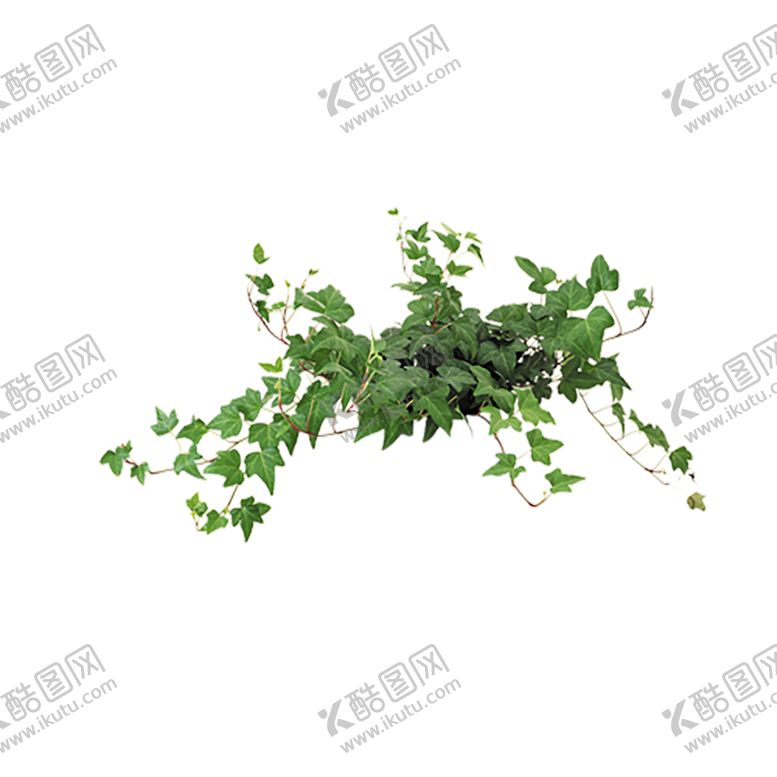 编号：26605309220456367443【酷图网】源文件下载-绿色植物