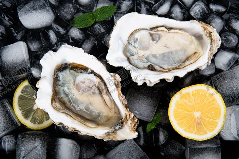 编号：92353509211519197197【酷图网】源文件下载-新鲜生蚝