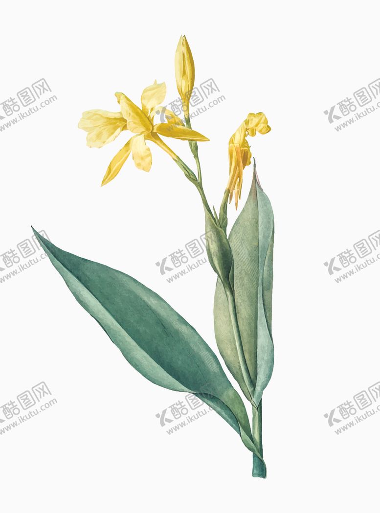 编号：88132110212243557633【酷图网】源文件下载-花纹