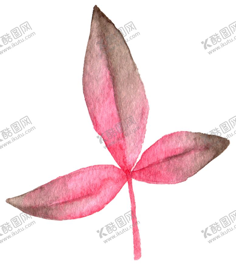 编号：96187807121946534193【酷图网】源文件下载-手绘植物