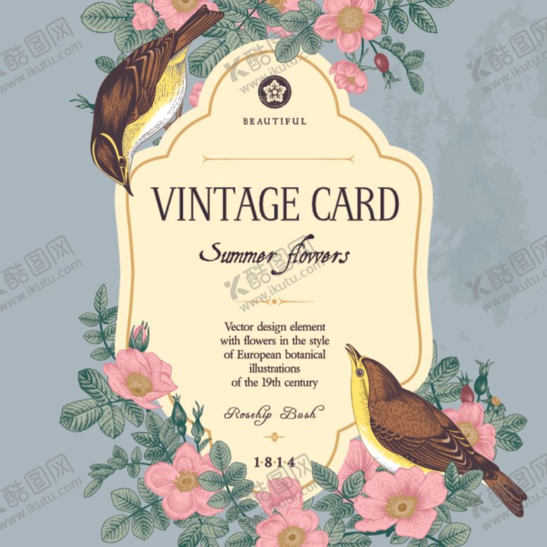 编号：64209006190050472853【酷图网】源文件下载-花鸟