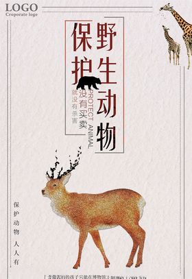 保护野生动物