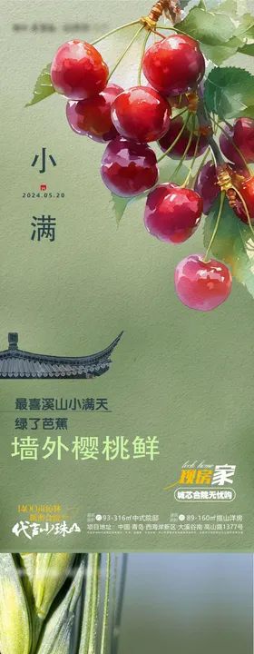 节气小满樱桃麦子地产单图