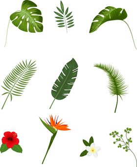 草类