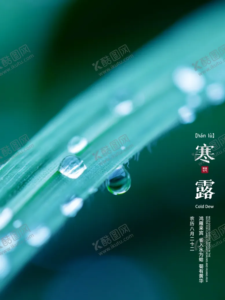 编号：70217605012057291098【酷图网】源文件下载-24节气之寒露