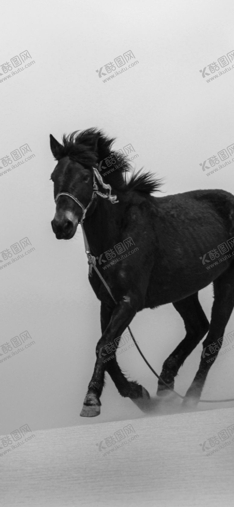 编号：30529610060220567082【酷图网】源文件下载-手机壁纸