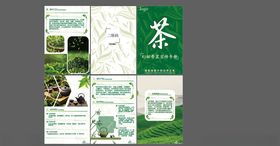 茶叶宣传手册