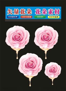 多种花形花朵
