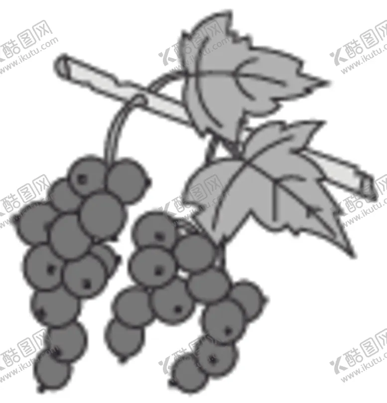 编号：12059405080410362647【酷图网】源文件下载-葡萄