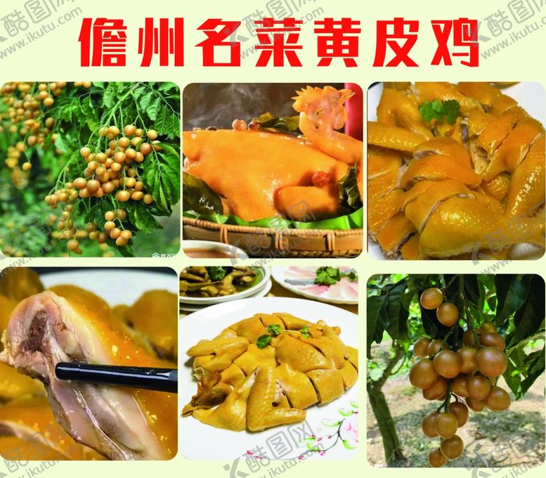 编号：26089701251314322358【酷图网】源文件下载-黄皮鸡