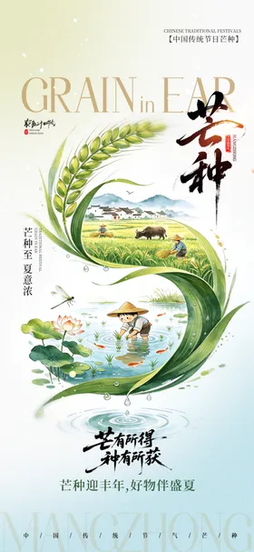 芒种