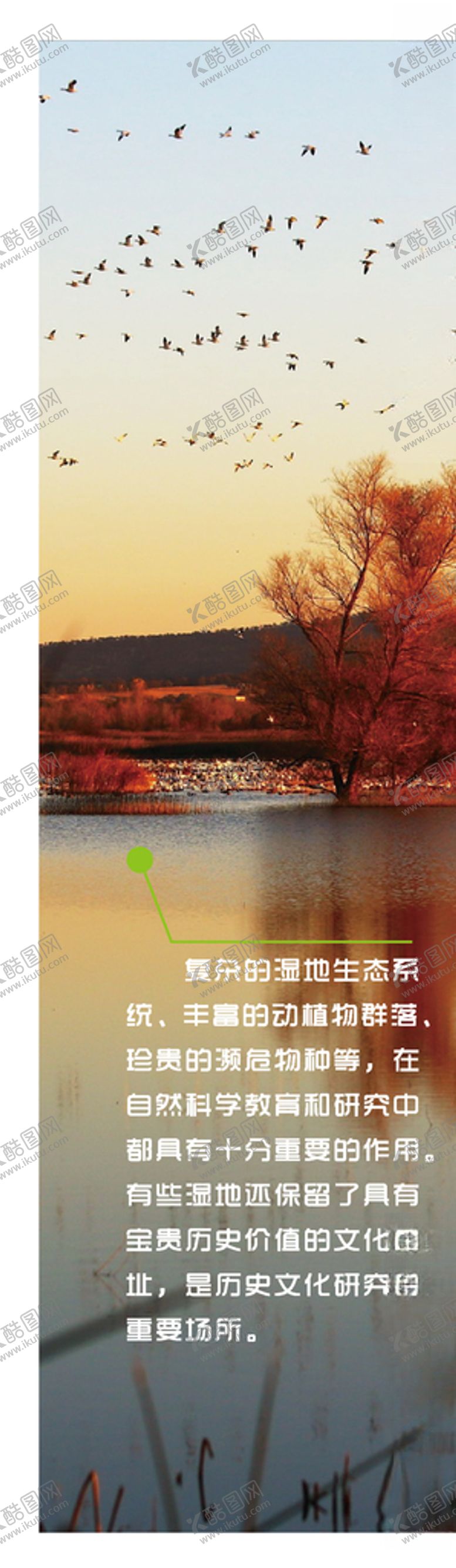 编号：53763309151614271816【酷图网】源文件下载-湿地