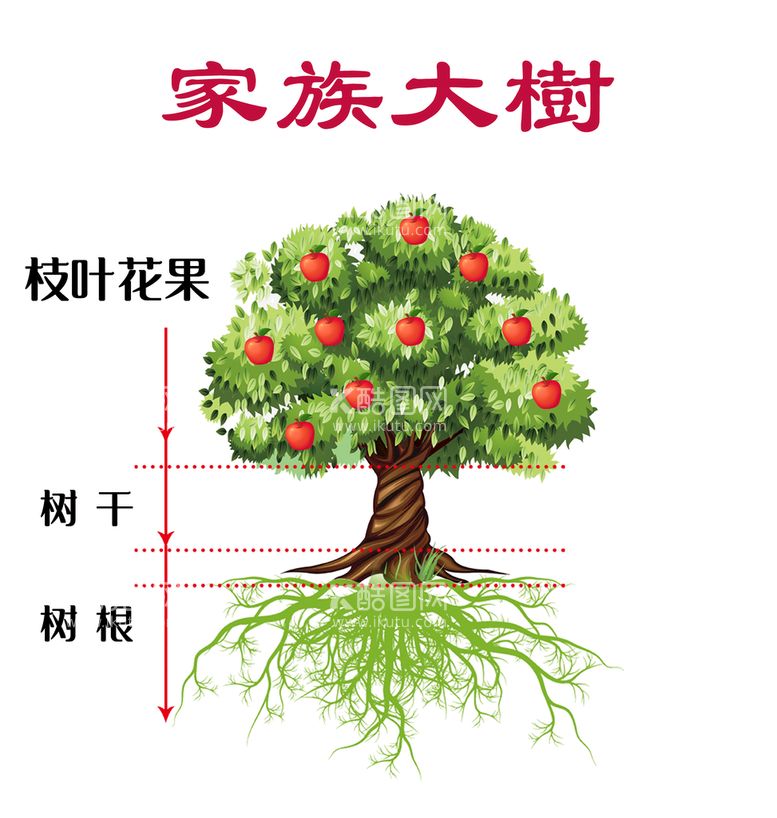 编号：16745909160552013690【酷图网】源文件下载-家族树