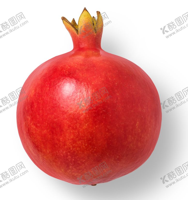 编号：79058307132356453940【酷图网】源文件下载-石榴