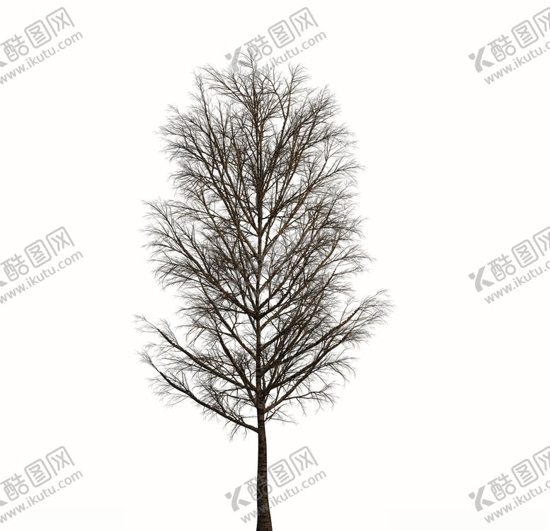 编号：82617210280600486214【酷图网】源文件下载-树林