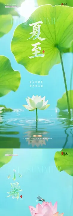 夏至小暑荷花庭院风景海报