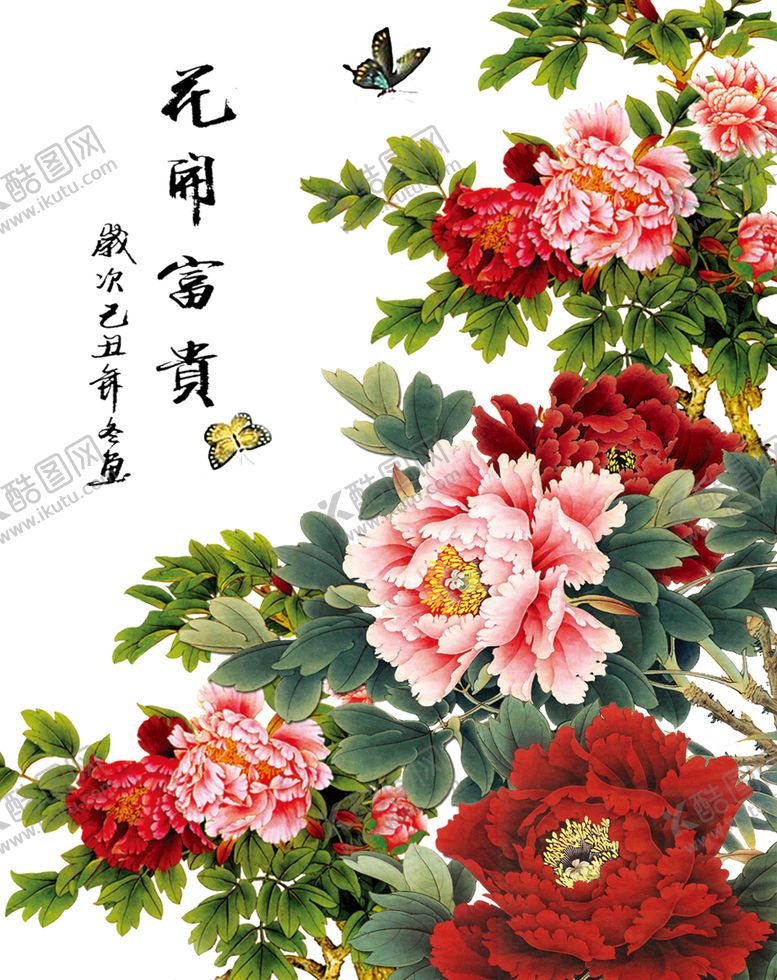 编号：13800507080343365982【酷图网】源文件下载-牡丹花
