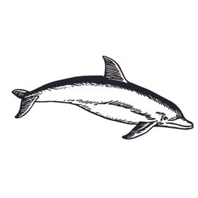 海洋生物鱼类图案