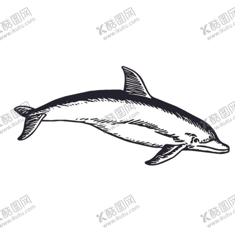 编号：96580510171352246352【酷图网】源文件下载-海洋生物鱼类图案