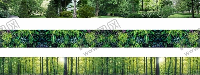 编号：41268106100928463639【酷图网】源文件下载-围档画面森林树木绿色围档