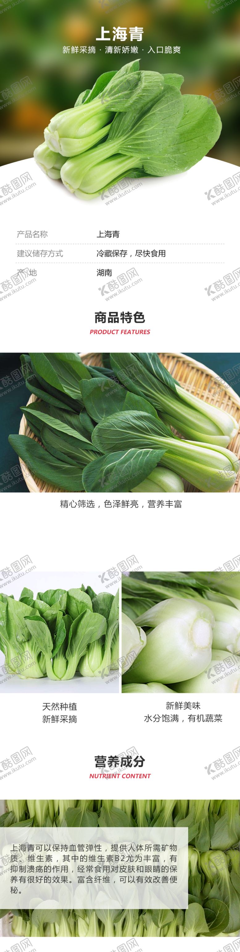 编号：35557805061340244522【酷图网】源文件下载-上海青详情页