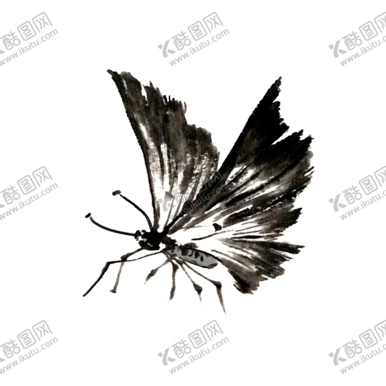 编号：71956401302345329614【酷图网】源文件下载-水墨蝴蝶国画黑白