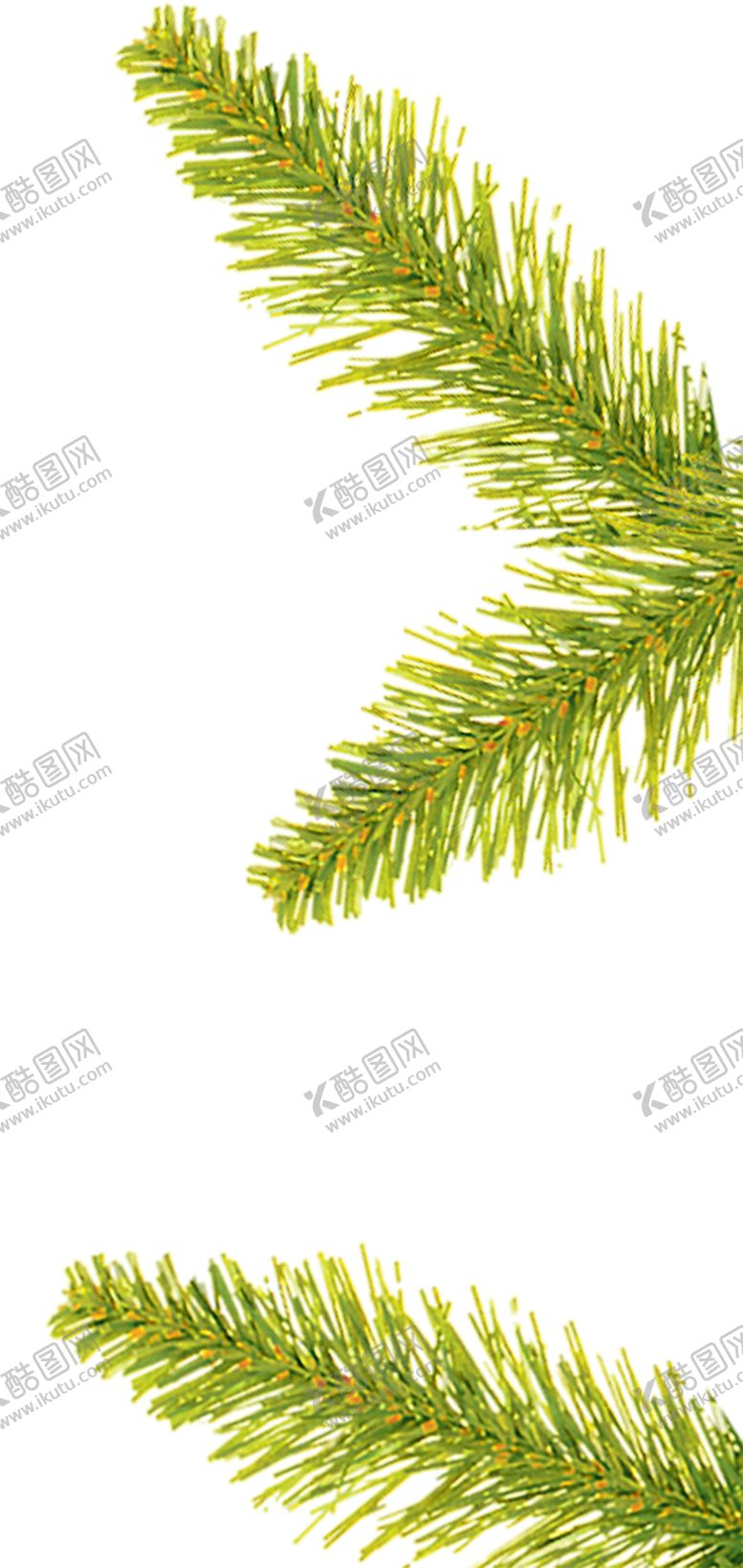 编号：79313210281209531589【酷图网】源文件下载-植物