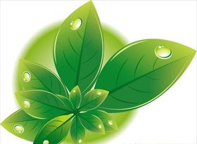 花枝  花叶  小碎花
