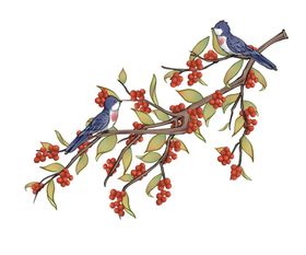 小鸟树叶插画卡通海报素材