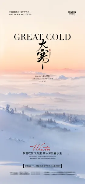 大寒海报