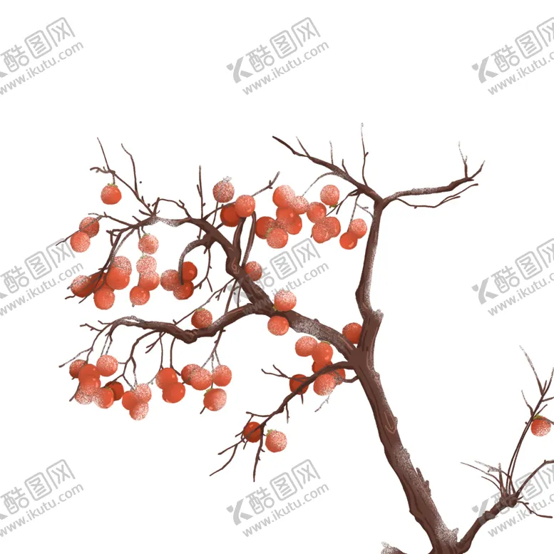 编号：31656804192116497256【酷图网】源文件下载-冬季柿子素材