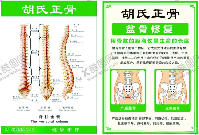编号：49604011192205586416【酷图网】源文件下载-推拿正骨