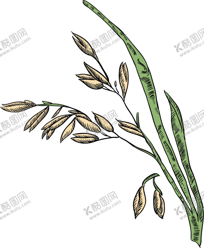 编号：13802209171230401323【酷图网】源文件下载-绿色相框