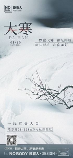 大寒简约节气海报