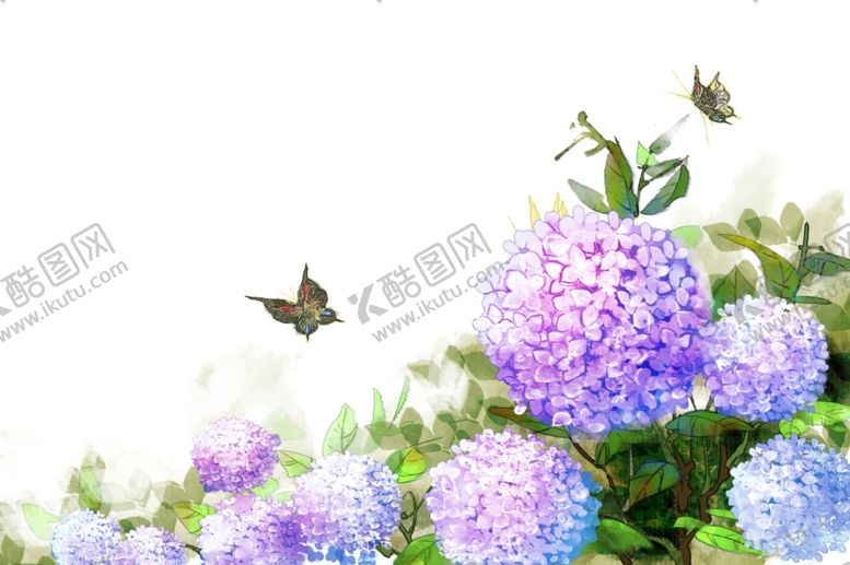 编号：17644911272211179578【酷图网】源文件下载-紫色水彩花卉