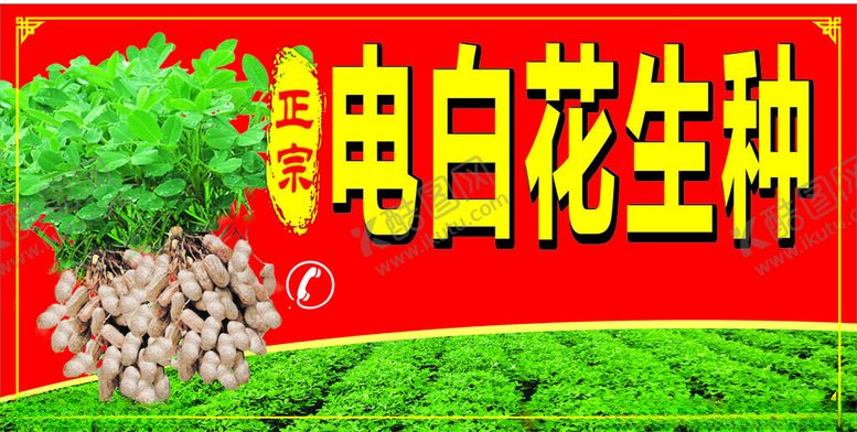 编号：82594601171305277603【酷图网】源文件下载-电白花生种
