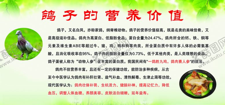 编号：54083110061448512494【酷图网】源文件下载-展板鸽子肉