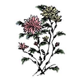 水墨菊花