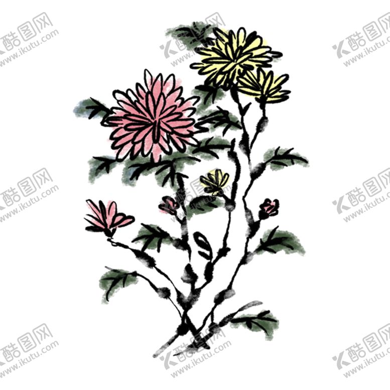 编号：83394805042129292557【酷图网】源文件下载-水墨菊花